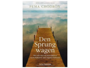 Den Sprung wagen: Wie wir uns von destruktiven Gewohnheiten und Ängsten befreien